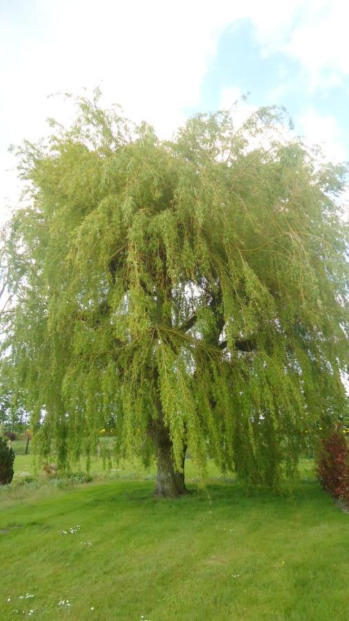 Вилла Au Grand Saule Les Attaques Номер фото
